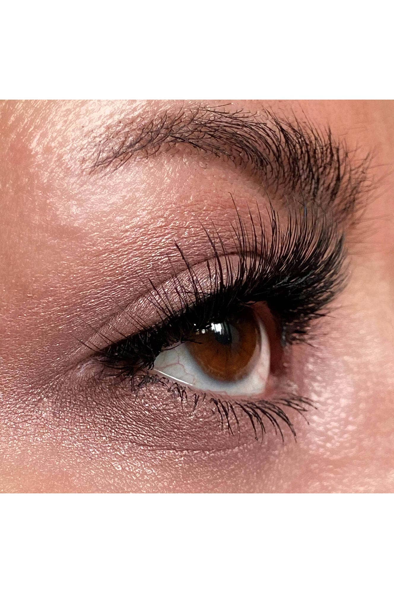 Force Field Eyeshadow Eyes NOCTEX